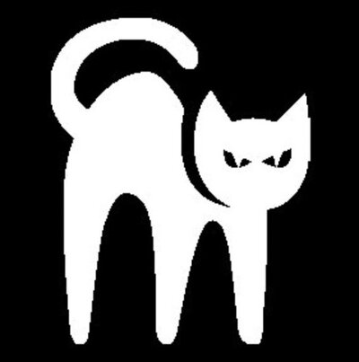 Black Cat Black Cat