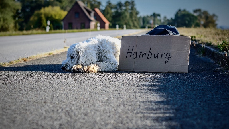 Trampen ohne Pappschild oder Daumen heben: Mitfahrbänke sollen da helfen, wo kein Bus mehr fährt Trampen ohne Pappschild oder Daumen heben: Mitfahrbänke sollen da helfen, wo kein Bus mehr fährt